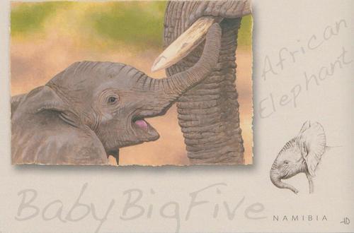 Big Baby Five, Elephant