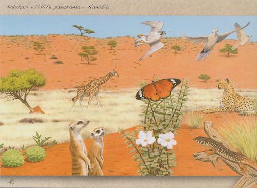 Kalahari Wildlife Panorama