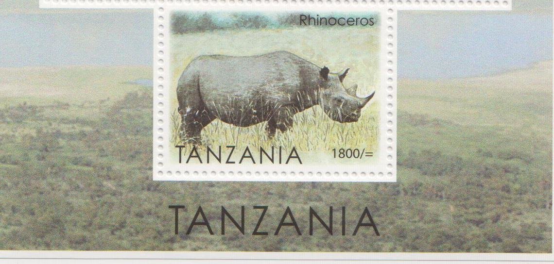 Rhinos of Tanzania