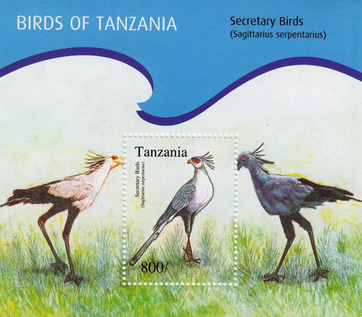 Birds of Tanzania - Secretary Birds