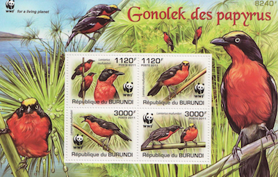 Gonolek Stamp Set
