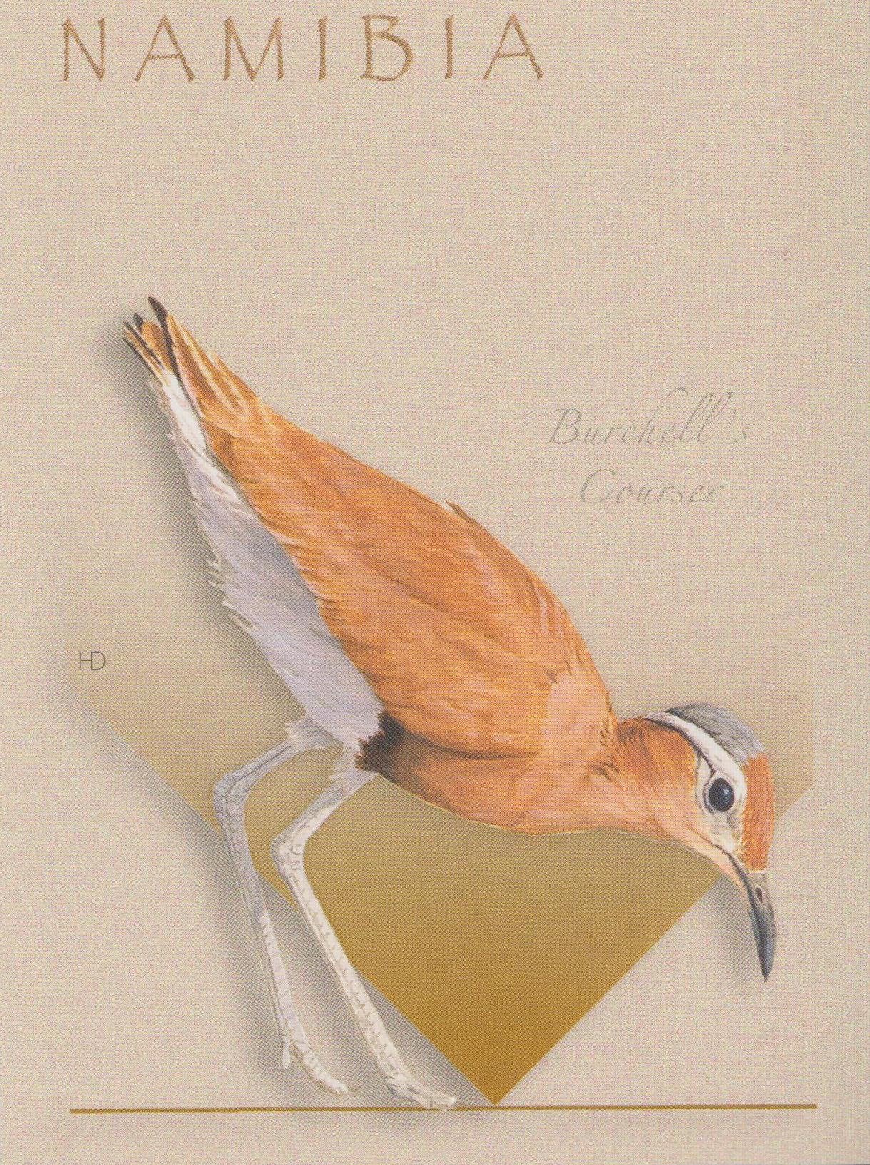 Burchell's Courser