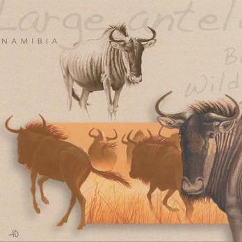 Large antelopes, Blue Wildebeest