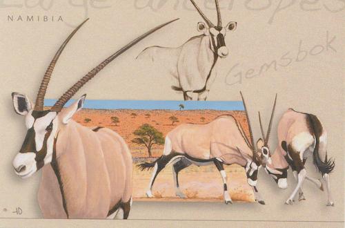 Large Antelopes, Gemsbok