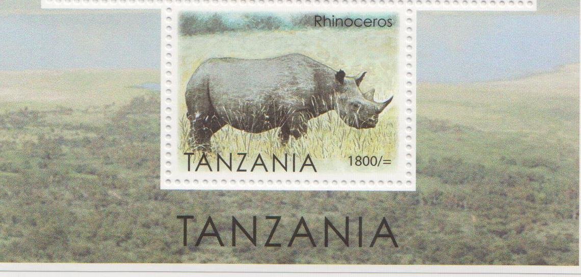 Rhinoceros