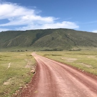 Safari Road in Tanzania