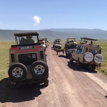 On safari in Tanzania