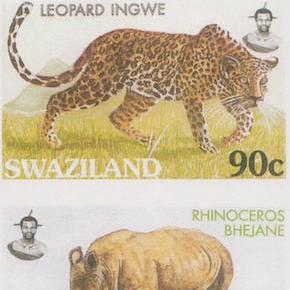 Lion, Leopard, Rhinoceros