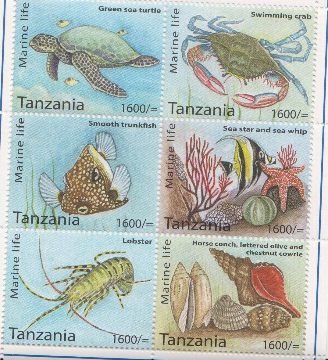 Marine Life Stamp Set