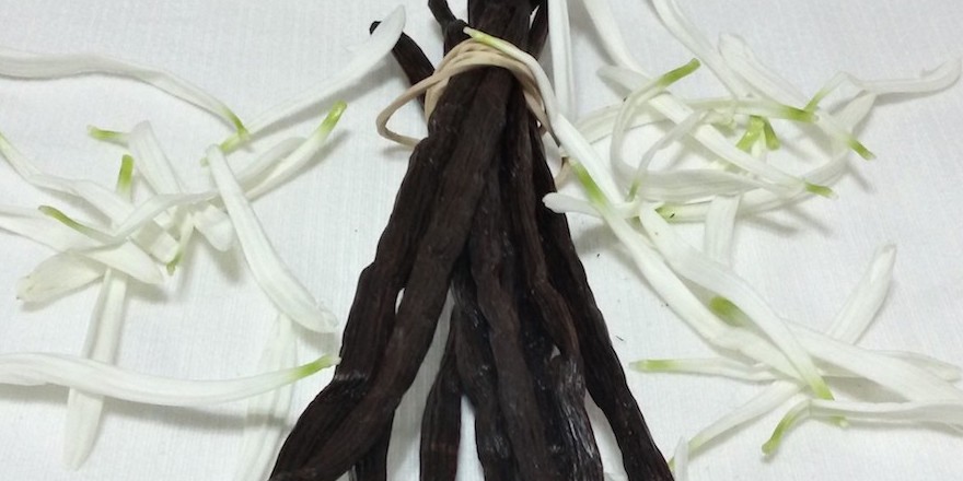 African Vanilla