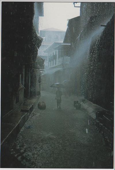 Rain Scene